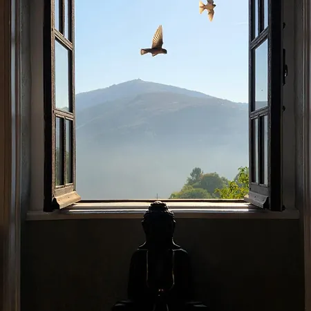Casa Da Julia - Refugio Na Natureza Em Arganil Dom wakacyjny